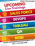 Online IT Trainings