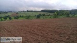 8 Acre of Good Scenic View Agriculture Land for sale in Belur