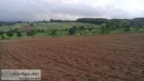 8 Acre of Good Scenic View Agriculture Land for sale in Belur