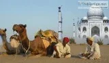 Look at Optima Travels for Golden Triangle with Pushkar Tour
