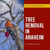 Tree Removal Anaheim CA