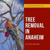 Tree Removal Anaheim CA