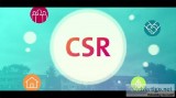 CSR implementation partners