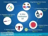 Best IVF treatment centre in FaridabadIndia