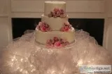 Unique Wedding Venues Jacksonville Florida  Le Jardin on Park