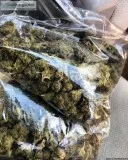 Cookies Mix Snap and Pull (closed loop BHO) Available