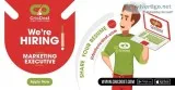 Marketing Executive