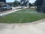 NEW LAWN OR READY FOR SOMETHING ELSE