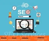 Affordable SEO Services in Noida