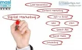 Best SEO Company in Miami &ndash Smash Interactive Agency
