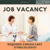 Indira IVF hiring for Consultant Gynecologist for Delhi Location