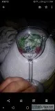 Orrefors Maja Hand Painted Crystal