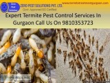 Secure Pest control Gurgaon  91-9810353723