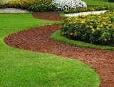 Landscaping Service Ocala (Florida USA)