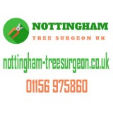 Nottingham Tree Surgeon UK