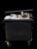 RMS Skip Hire  Book Inexpensive Skips