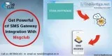SMS API C Is The Distinctive Platform To Send SMS