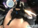 Cute mini snauzwer