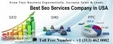 Best SEO Service Company in USA 1 (313) 462 0082