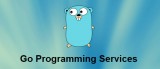 Expert Advice on Go Programming Services
