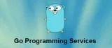 Expert Advice on Go Programming Services