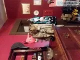 Need loving home
