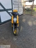 2008 SJMC Motor cycle (Scooter)