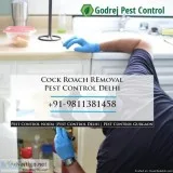 Cockroach removal by Pest Control in Delhi  Call 91-9811381458