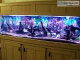 AQUARIUM 120 GAL with standcanopy filters pumps lights heaters a