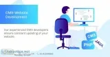 CMS Website Development company