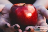 Naturotherapy is the best alternative