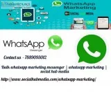 BulK  Whatsapp  marketing software  whatsapp marketing messenger