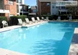Arlington 1 Bedroom - 925  - Golden Creek Ln
