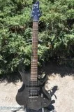 ESP LTD F-100FM Electric Guitar