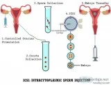 palanibalaji123 Best Fertility Center in Chennai