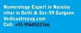 Best Numerology expert  in Naraina Vihar Delhi NCR