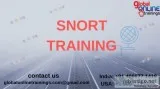 SNORT Training  SNORT Online Job Support from India - GOT