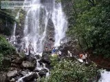 Book Amboli Waterfall Trip  Just  2500 Only