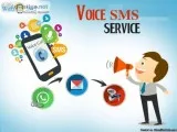 Best voice sms services in Noida