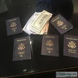 DrivingDrivers License and ID Cars