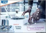 Oracle Training Institutes in Noida