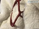 Oakley sunglass frames