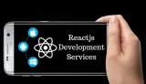 Reactjs Development Services