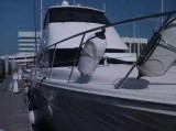 Boat Restoration and Detailing