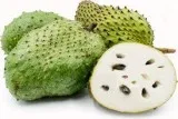 Soursop seedlings