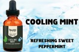 Buy Our Cooling Mint Beard Oil at the Best Prices