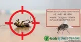 Flat 20% off on Pest Control Gurgaon