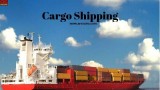 Cargo and Freight Shipping Services