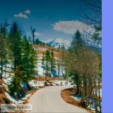 Nature Walk at Kanatal -BizareXpedition
