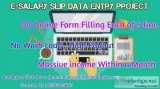 Data Entry Campaign